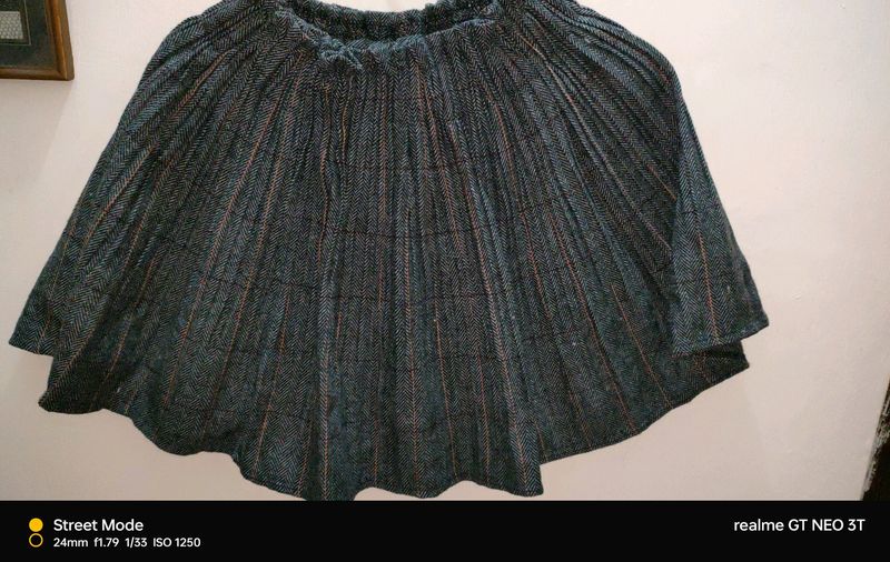 Winter Skirt