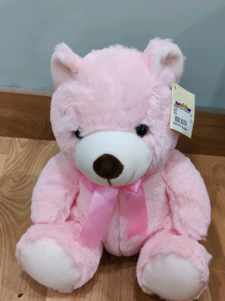 Teddy Bear 🧸🧸