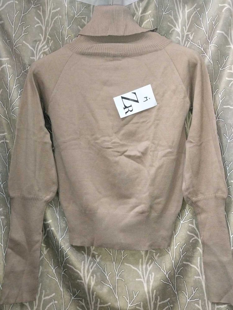 Stylish Tan Turtleneck Sweater