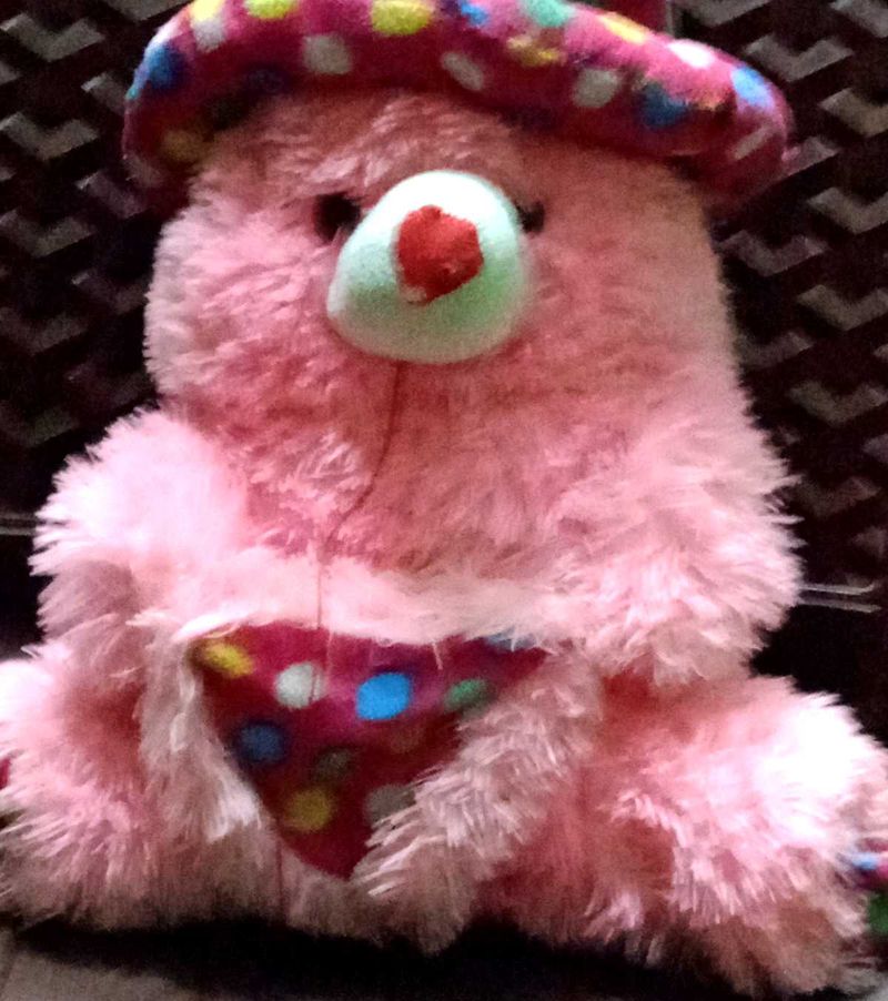Pink Plush Bear
