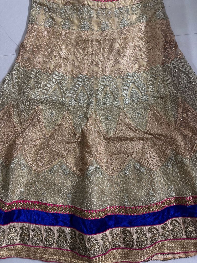 Embroidered Lehenga Skirt
