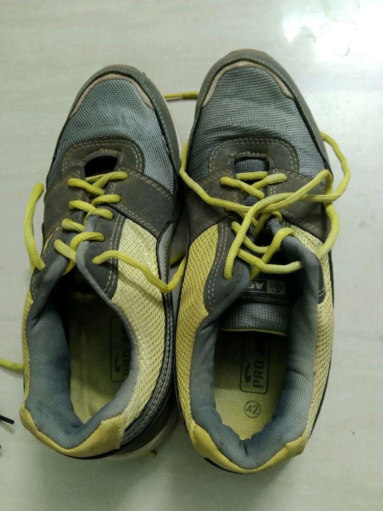 Sports Shoe