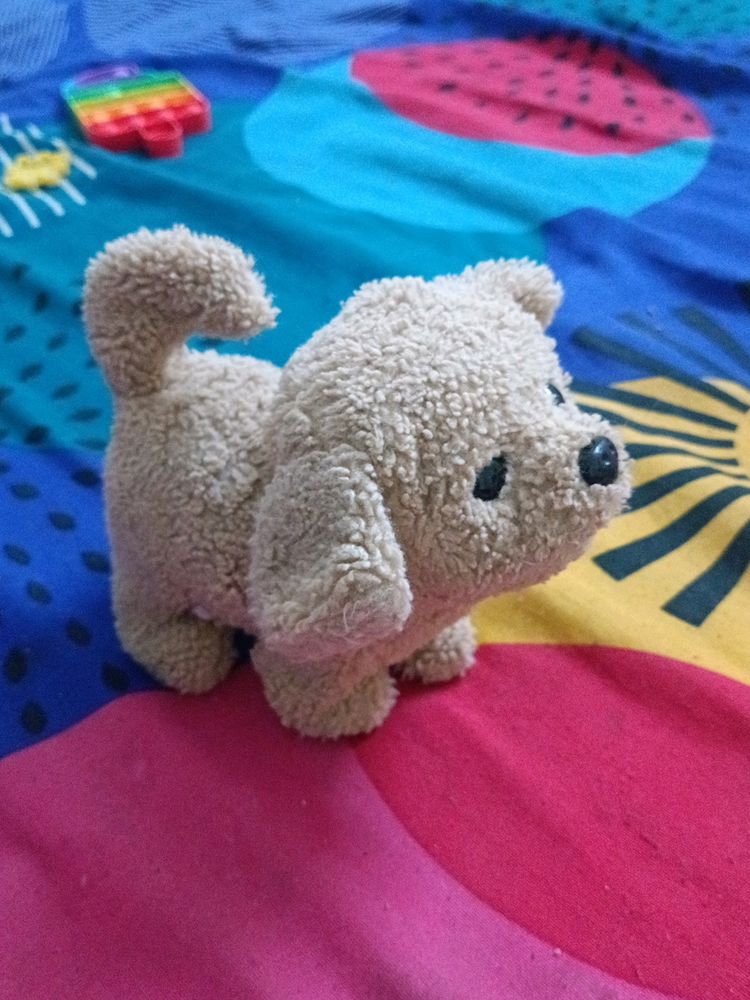 Dog Toy
