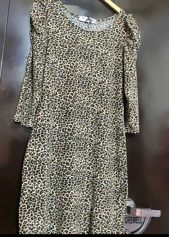Brown 🟤 Lion Printed Dress For 34 Bust