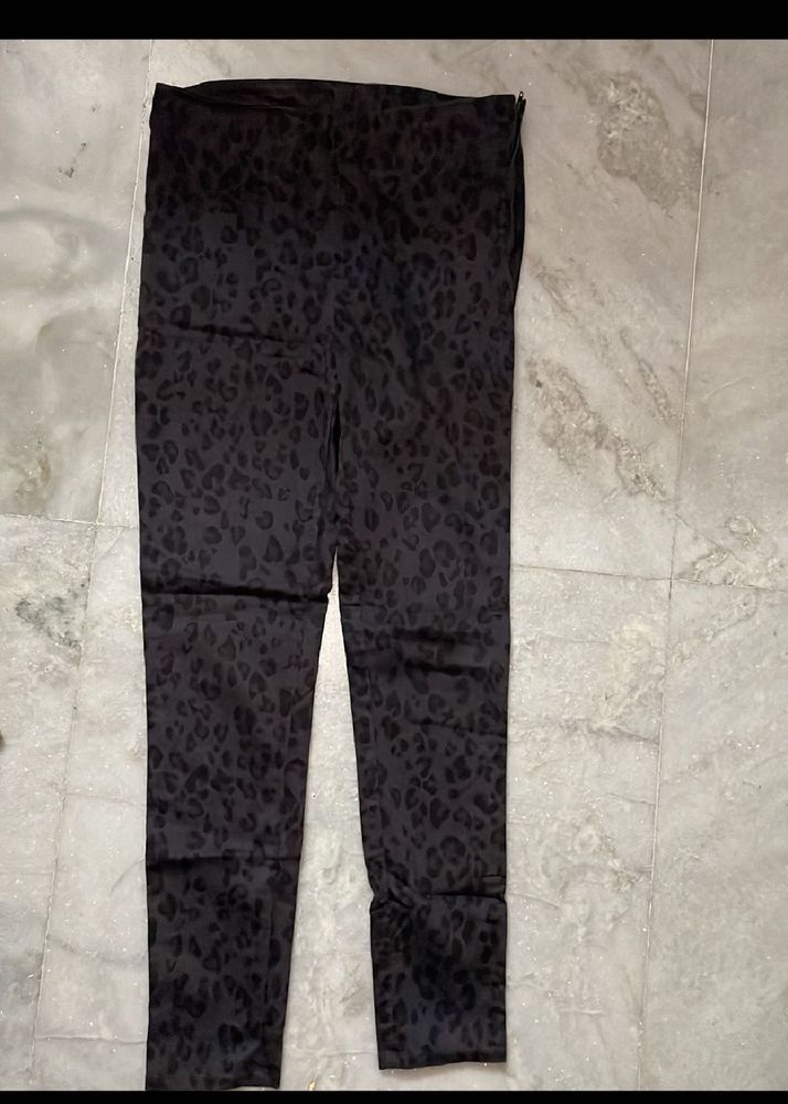 Animal Print Skinny Pants