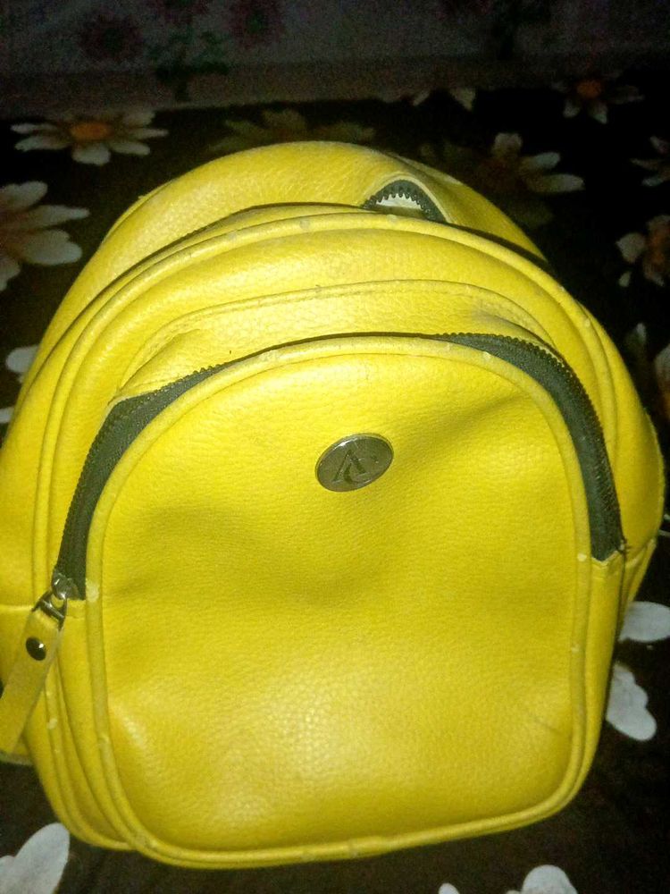 Stylish Bag