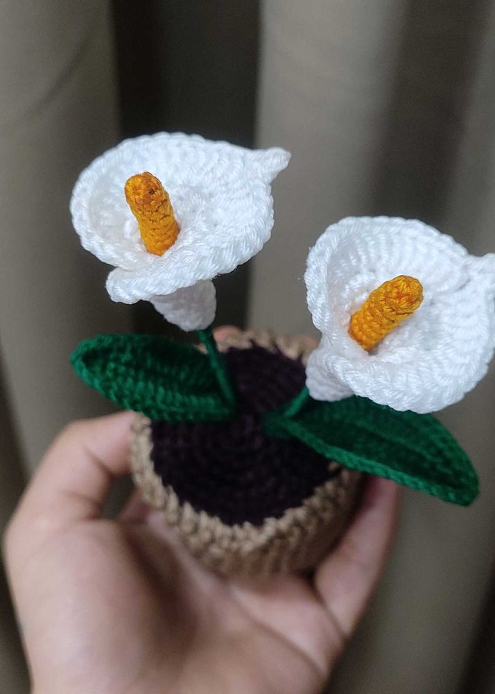 Crochet Calla Lily Plant
