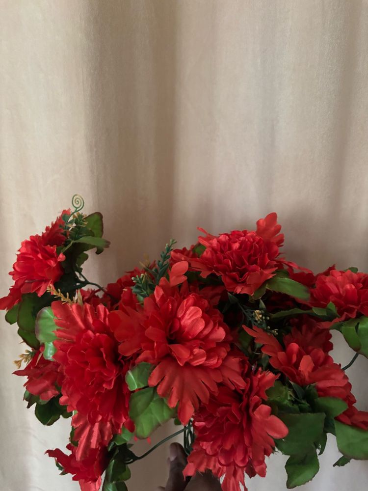 Red Flowers