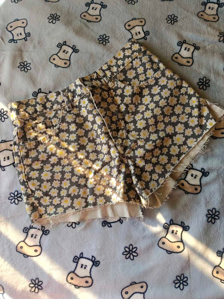 Zara Shorts