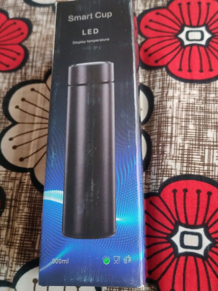 Temperature Water Bottle