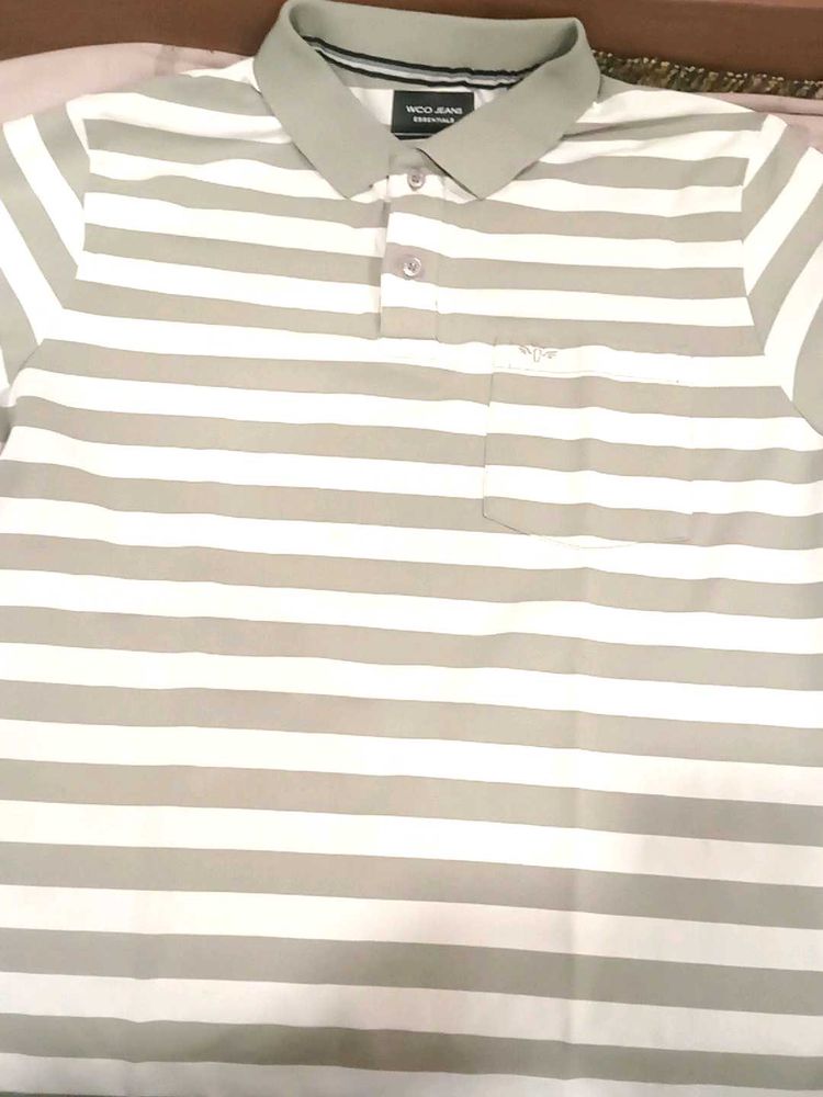 Striped Polo Shirt