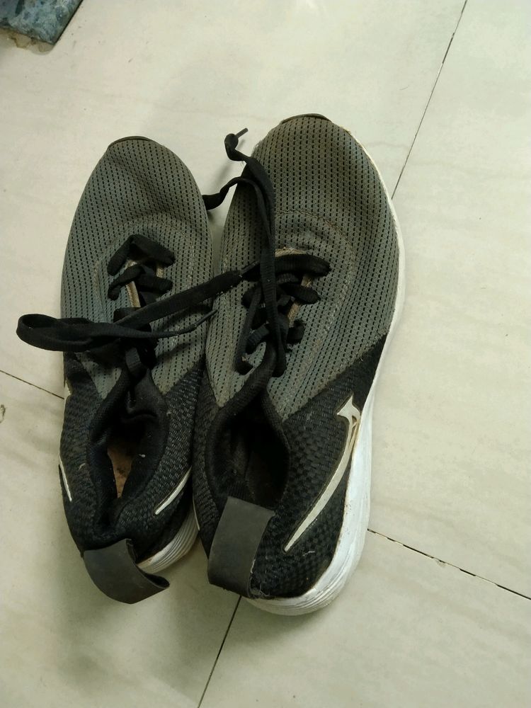 Sports Shoe