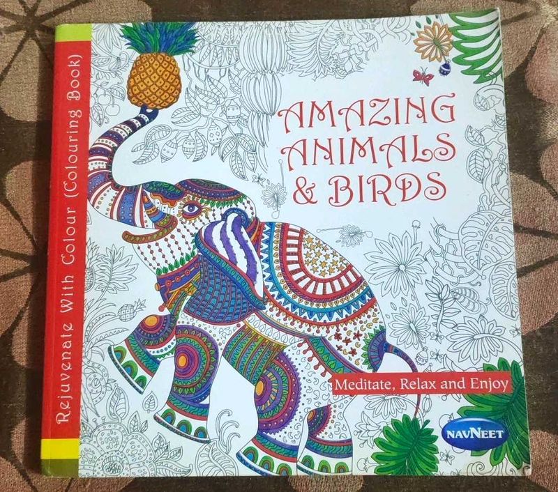 Navneet Color Book For Coloring/Painting