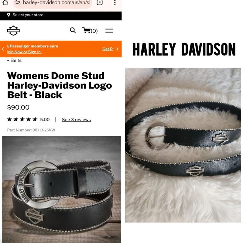 Harley-Davidson Logo Studded Belt