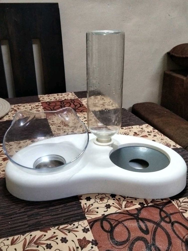 Cat Food and Water Dispenser