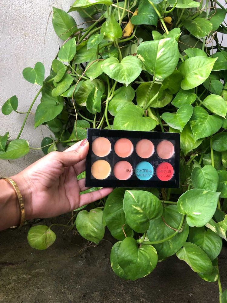 Blushes &amp; Highlighter Palette