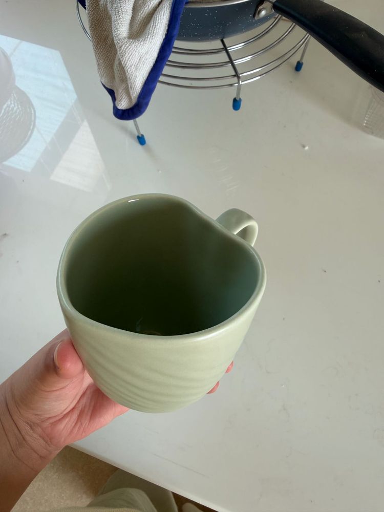 Nestasia green mug
