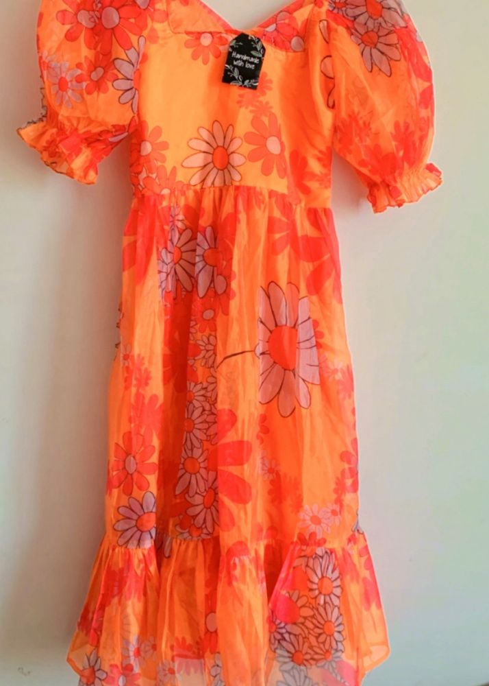 Organza Fabric Gown
