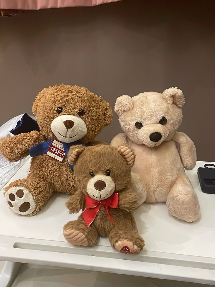 Teddy Bear Trio