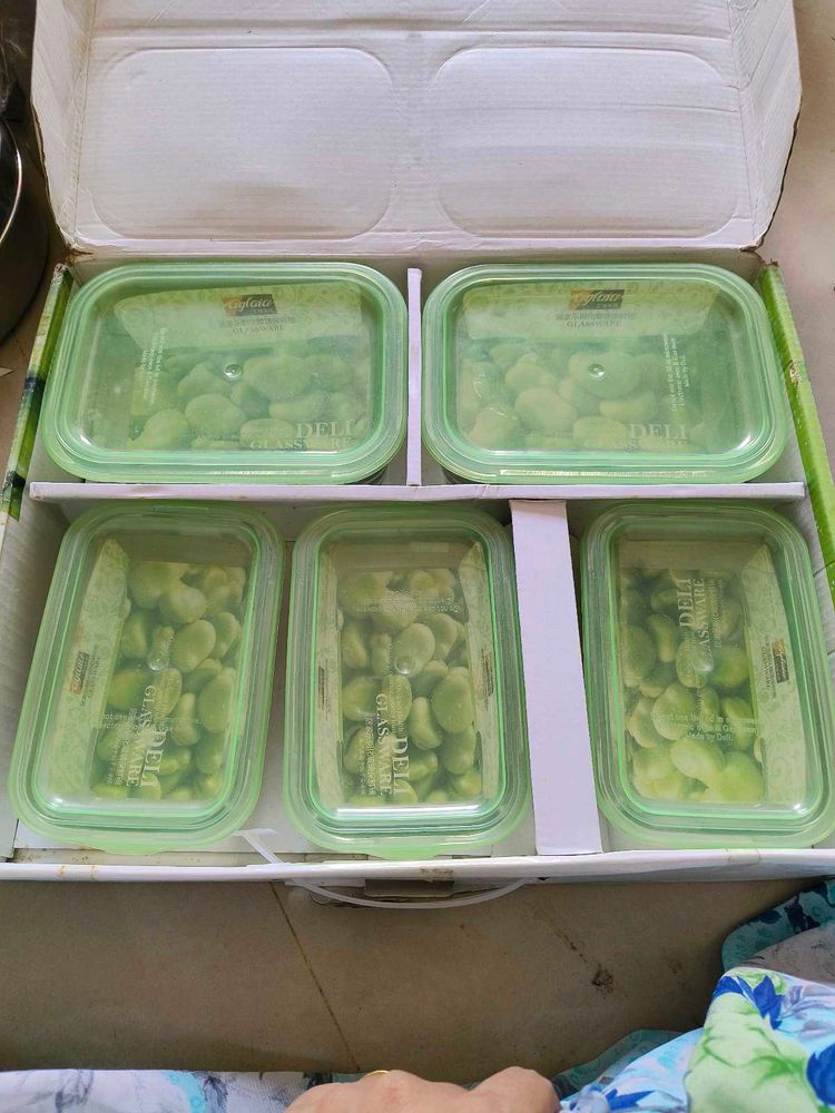 Set of 5 Food Containers