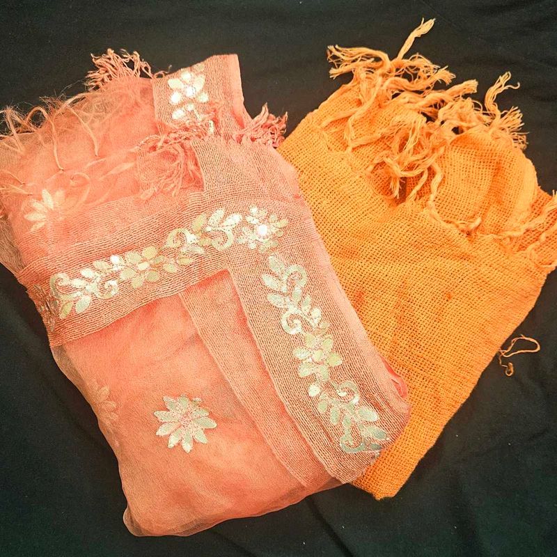 2 Stylish Dupattas !