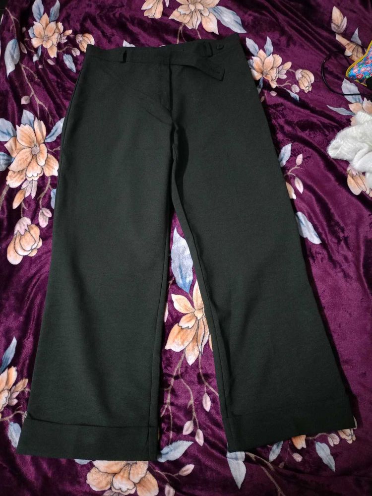 Green Straight Fit Pants