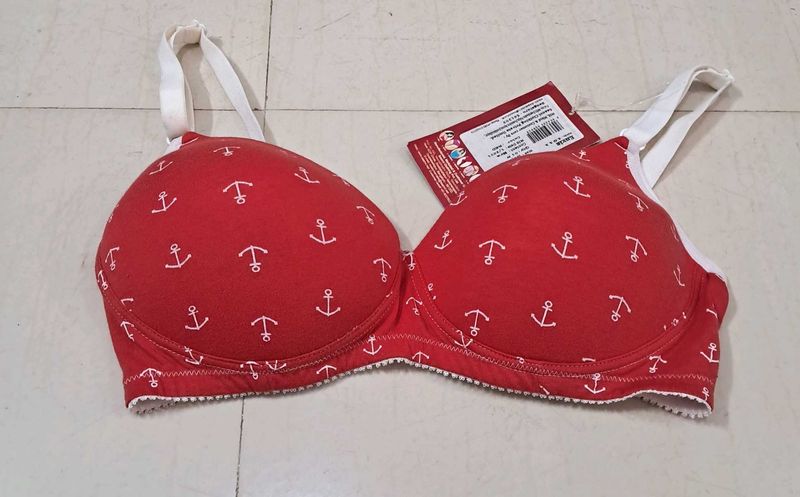 Lightly Padded Soft Envie Brand Bra