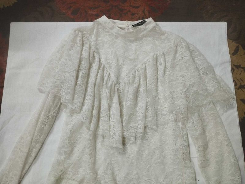Elegant Lace Mini  tops