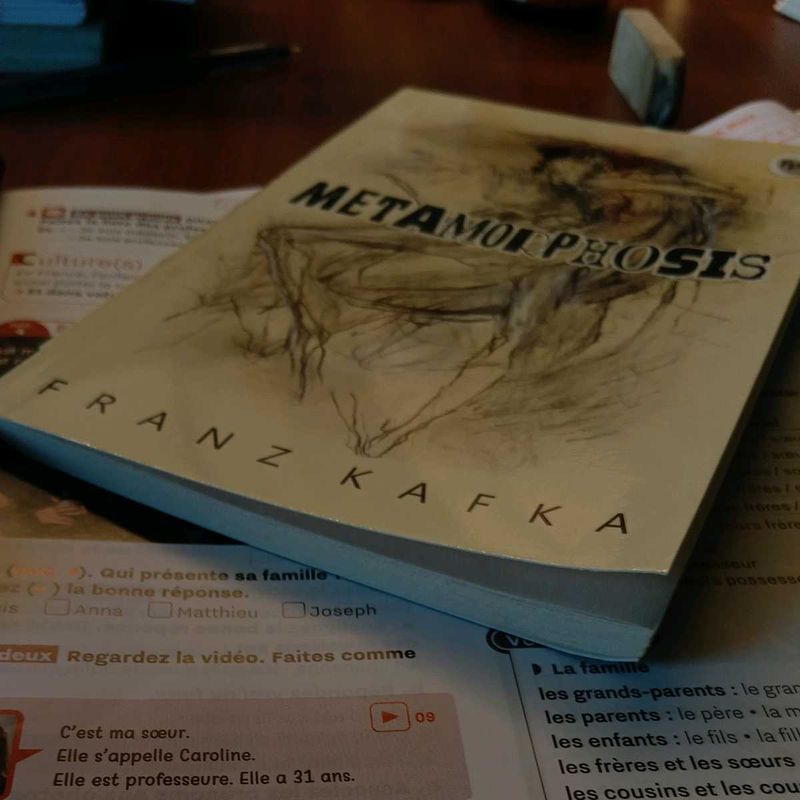 The Metamorphosis by Franz Kafka