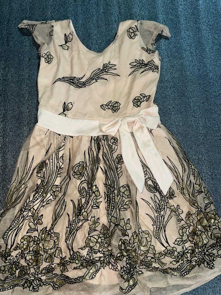 Elegant Embroidered Party Dress