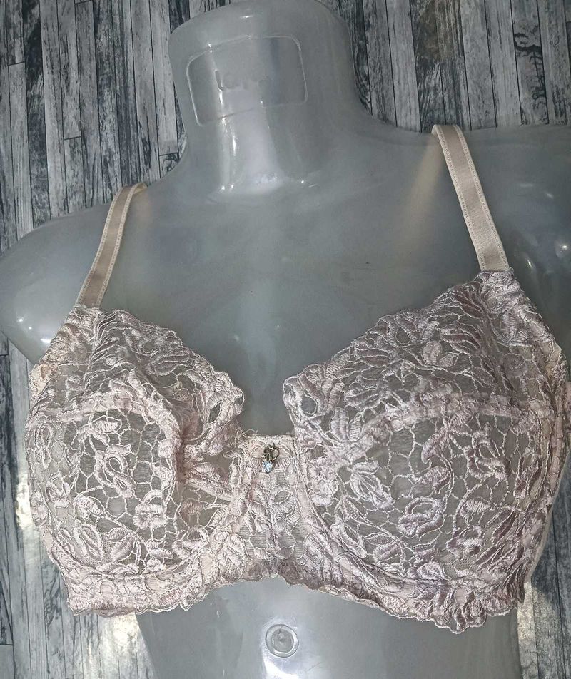 net hot ,🧡36B