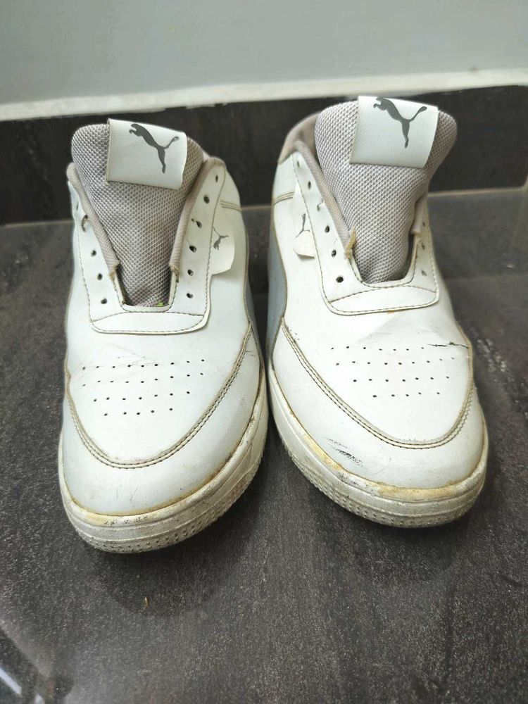 OG Epic Puma Shoe