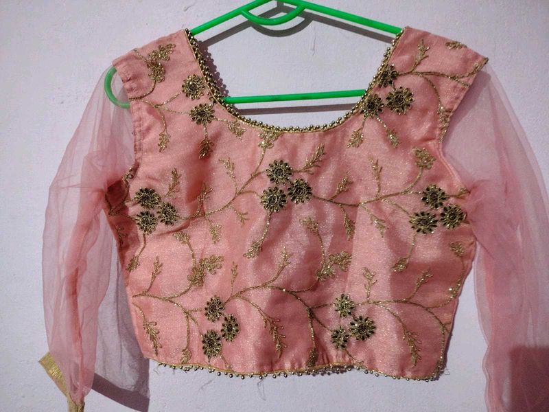 Pink Embroidered Lhenga Choli