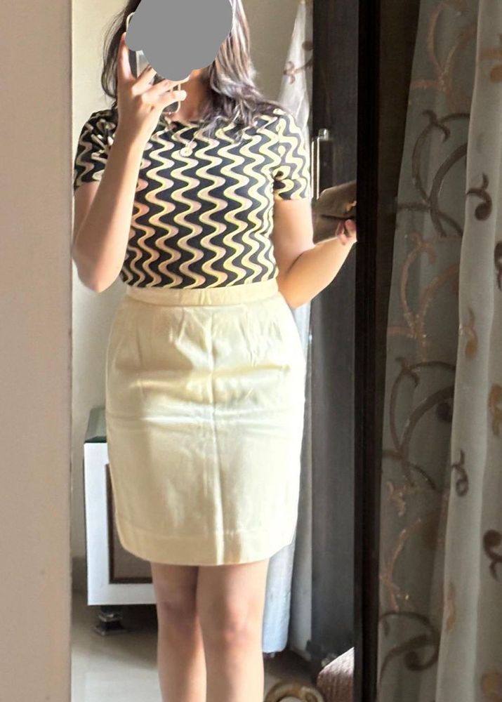 Sober And Elegent Skirt