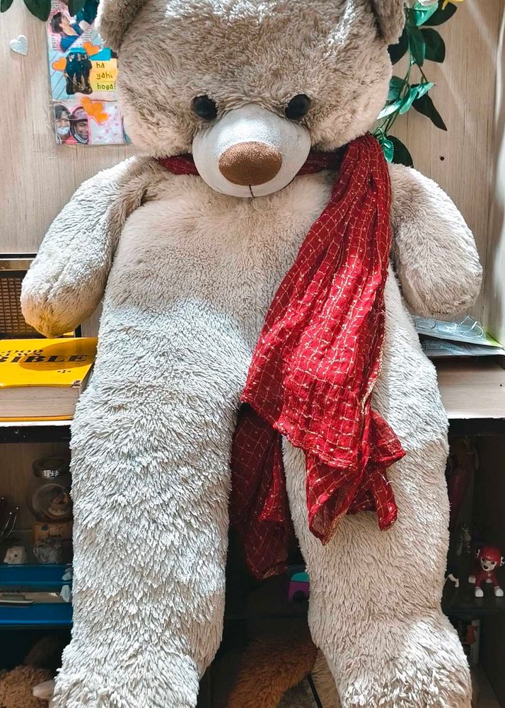 Giant Teddy Bear 3.5 Feet Fixed Price+ Freebie