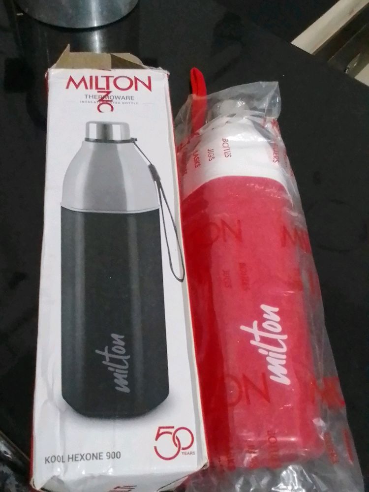 Insulated Water Bottle