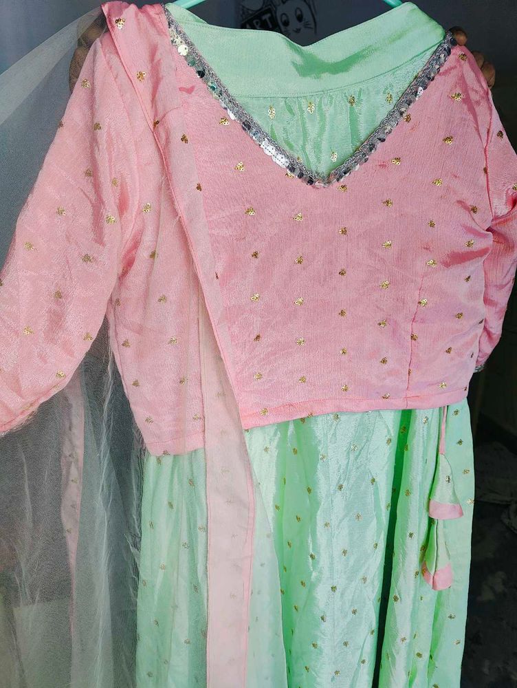Pastel Lehanga Choli Set