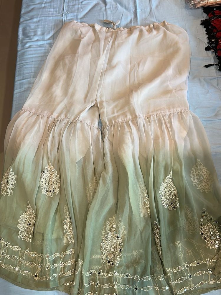 Embroidered Palazzo Pants