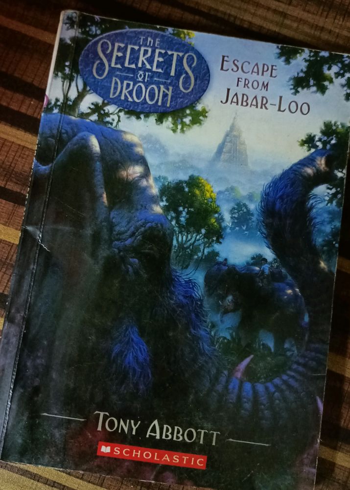 The Secrets Of Droon