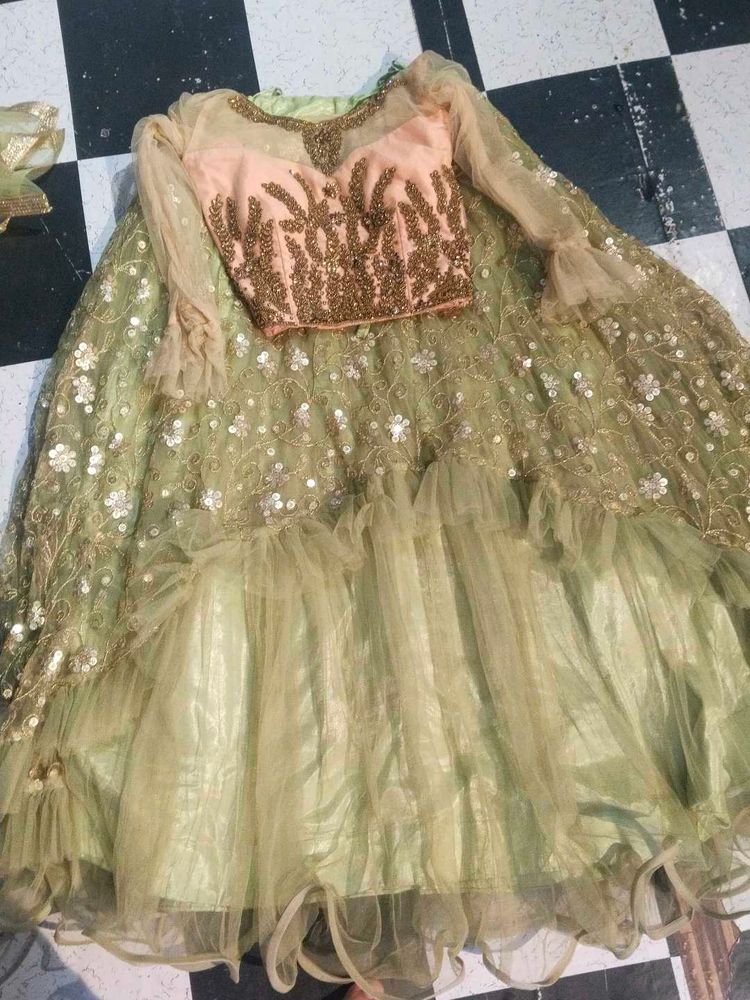 Elegant Lehenga Choli Set