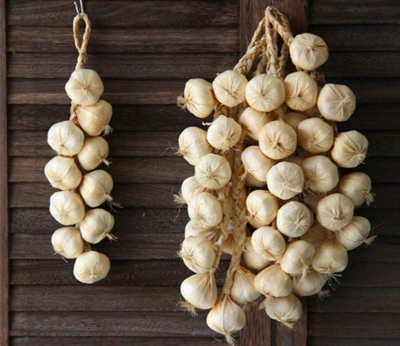 1 Artificial Onion/Garlic  Simulation String