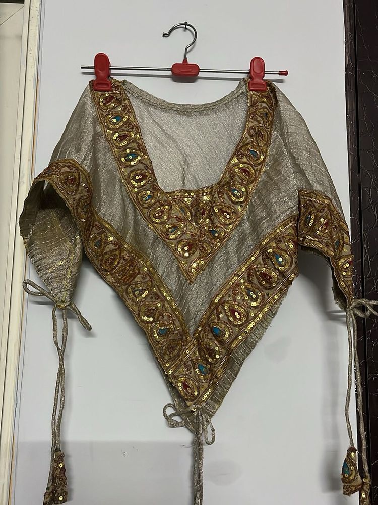 Embroidered Silver Crop Top