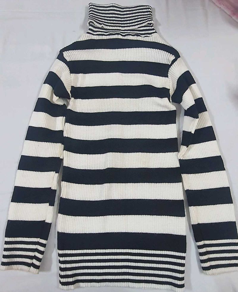 Striped Turtleneck Sweater