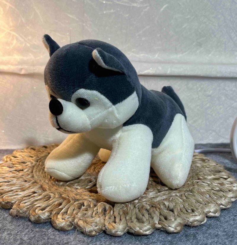 Cute Plush Husky Puppy