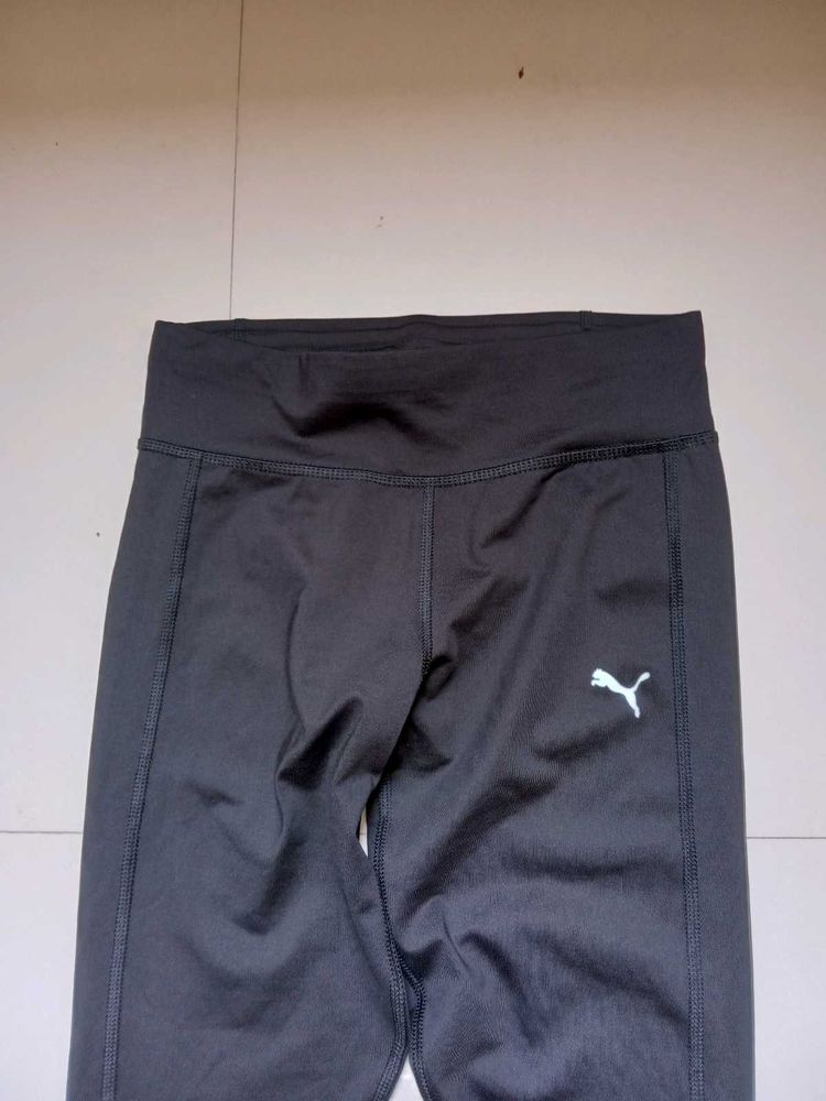 Puma tight