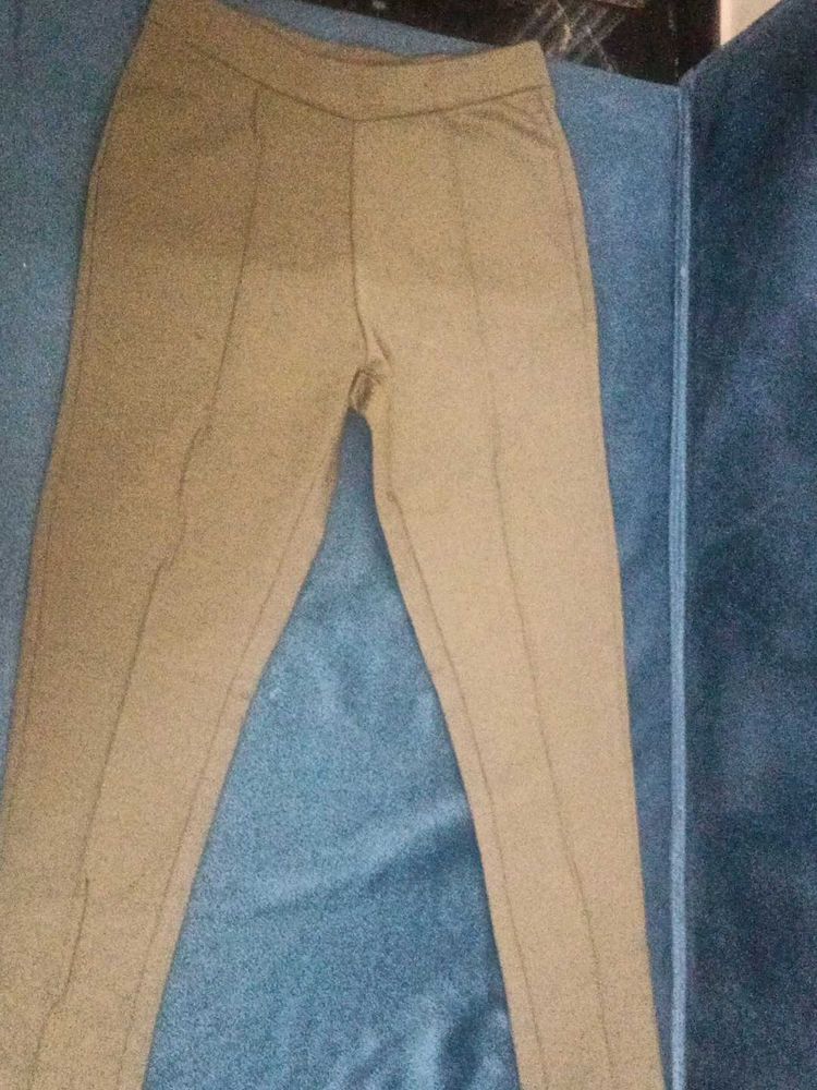 Neutral Tan Casual Pants