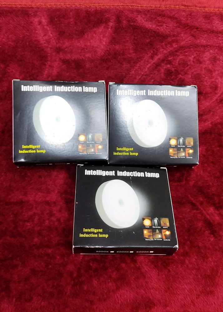 Motion Sensor Light ₹150 Pack Of 2