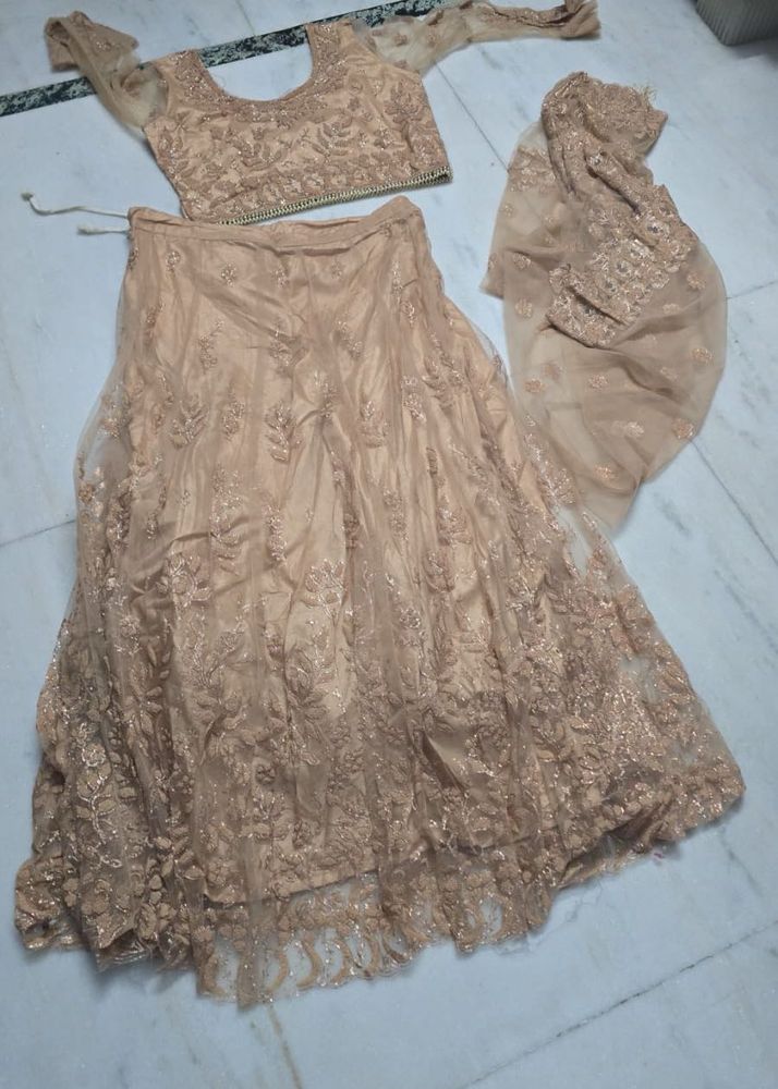 Elegant Lehenga Choli Set