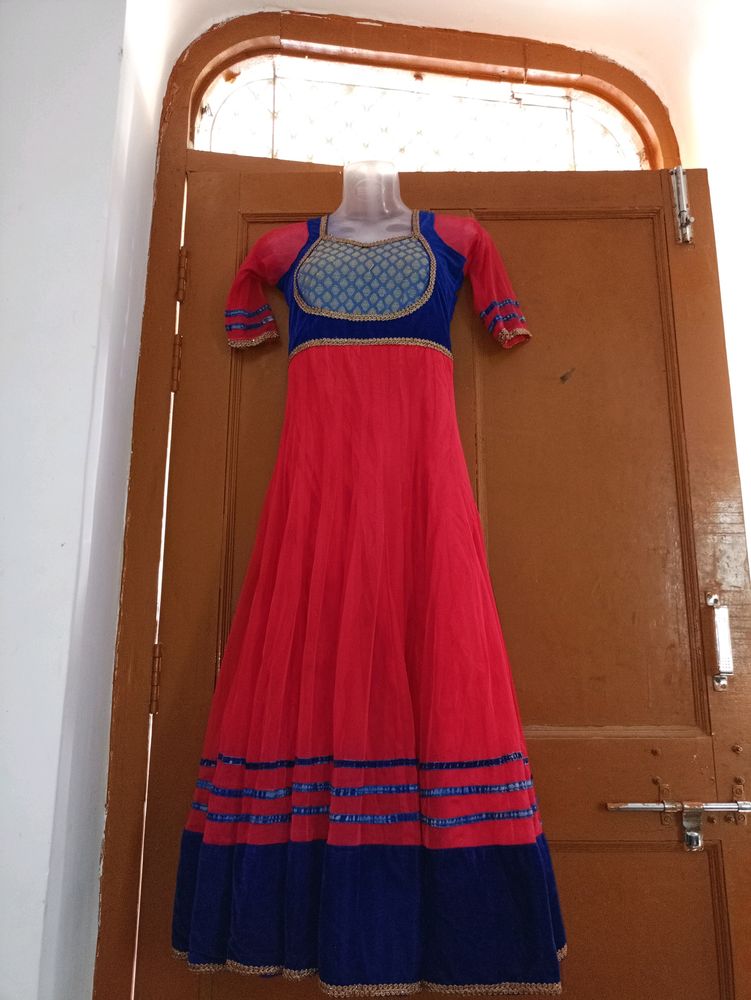Net Anarakali