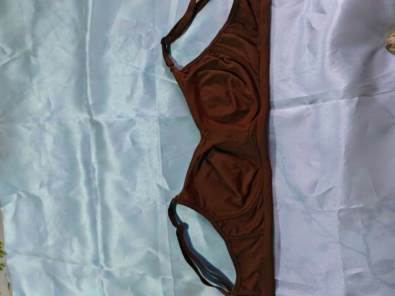 Comfortable Brown Bra